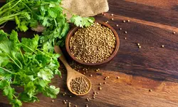 تخم گشنیز، 100 گرمی