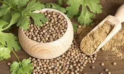 تخم گشنیز، 100 گرمی