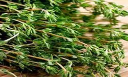 پودر آویشن، 100 گرمی