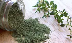 پودر آویشن، 100 گرمی