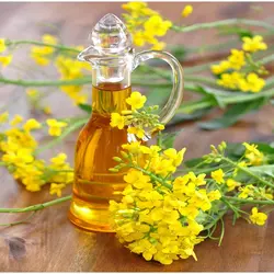 روغن گُلزا رُزان، 820 میلی لیتری