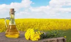 روغن گُلزا رُزان، 820 میلی لیتری