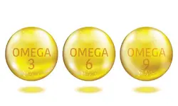 روغن گُلزا رُزان، 820 میلی لیتری