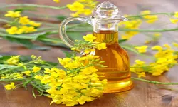 روغن گُلزا گالنی رُزان، 10 لیتری