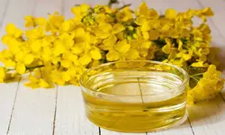 روغن گُلزا گالنی رُزان، 10 لیتری