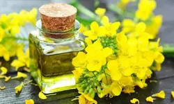 روغن گُلزا گالنی رُزان، 10 لیتری