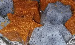 خاکشیر، 100 گرمی%