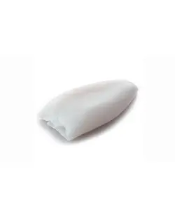 ماهی مرکب صادراتی