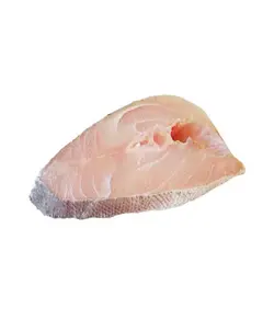 ماهی شوریده