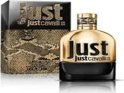 ادکلن مردانه روبرتو کاوالی جاست کاوالی گلد ادو پرفیوم Roberto Cavalli Just Cavalli Gold EDP