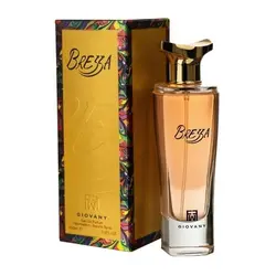 عطر ادکلن فراگرنس ورد برزا - Brezza - فروشگاه تخصصی عطر و ادکلن ماندگار