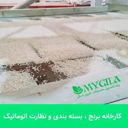 قیمت و خرید برنج صدری خوش عطر و پخت مای گیلا 🌾 30 کیلوگرم