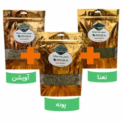 دمنوش های نعنا و پونه و آویشن - ما‌ی‌ گیلا | خرید با تخفیف
