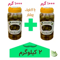 زیتون مخصوص مای‌ گیلا 1 کیلویی - ما‌ی‌ گیلا