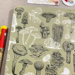 دفتر مشق دانشمندان قارچ