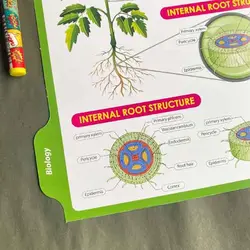 کاغذ کلاسور 100 برگ + 4 جداکننده