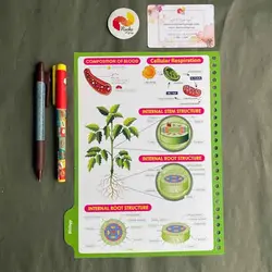 کاغذ کلاسور 100 برگ + 4 جداکننده
