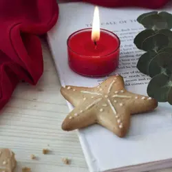 شمع عطری وارمر دایره پاپانوئل