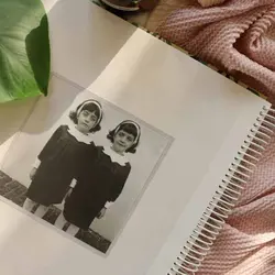 آلبوم عکس چسبی برگ انجیری