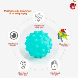 توپ آموزشی 6 عددی He-0207 هانگر Huanger