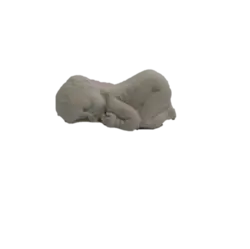 قالب سیلیکونی نوزاد کوچولو