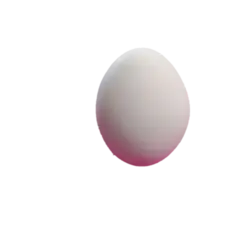 قالب سیلیکونی تخم مرغ ساده
