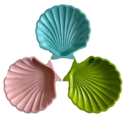 قالب سیلیکونی صدف