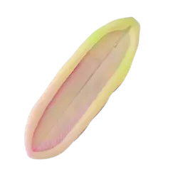 مولد سیلیکونی جاعودی برگ