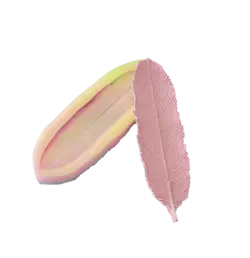 مولد سیلیکونی جاعودی برگ