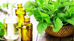 روغن ارگانیک درخت چای