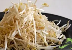 روغن جوانه گندم