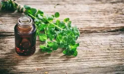 روغن گیاهی آویشن