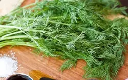 روغن شوید ارگانیک