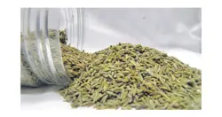 روغن گیاهی زیره سبز