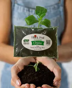 خاک بلک پیت دکتر بیز