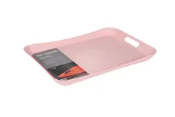 سینی مدل سوئدی تک پلاستیک