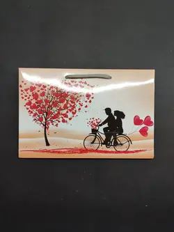 بگ کوچک طرح دوچرخه