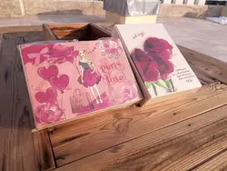 هارد باکس مستطیل متوسط - شهر گیلاس | فروشگاه تخصصی پاستیل و شکلات