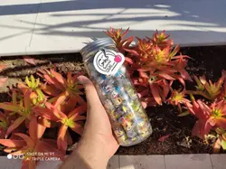 کندی جار بزرگ مینیون و سگ مهربون - شهر گیلاس | فروشگاه تخصصی پاستیل و شکلات