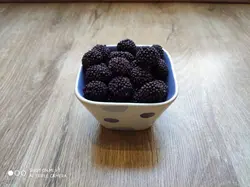 پاستیل تمشک گرانولی توتی فروتی 100 گرمی مشکی