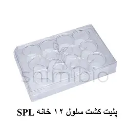 پلیت 12 خانه کشت سلول SPL