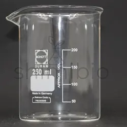 بشر طرح شات