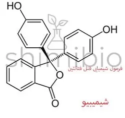 فنل فتالئین دکتر مجللی