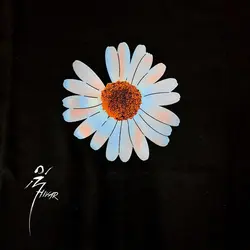 تیشرت بابونه