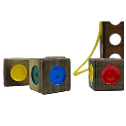 دی ان ای (بلوط)