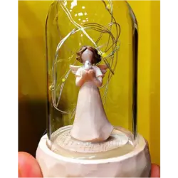 تراریوم دکوری و حباب فرشته آرزوها با ریسه LED - طرح کبوتر