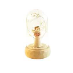 تراریوم دکوری و حباب فرشته آرزوها با ریسه LED - طرح گل