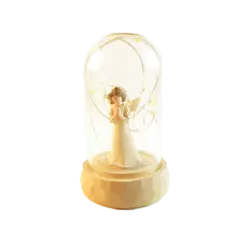 تراریوم دکوری و حباب فرشته آرزوها با ریسه LED - طرح نیایش