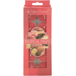 شمع وارمر معطر میوه های استوایی 10 عددی