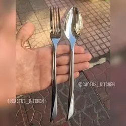 سرویس قاشق چنگال 30نفره سیلور مات براق فیلیکس